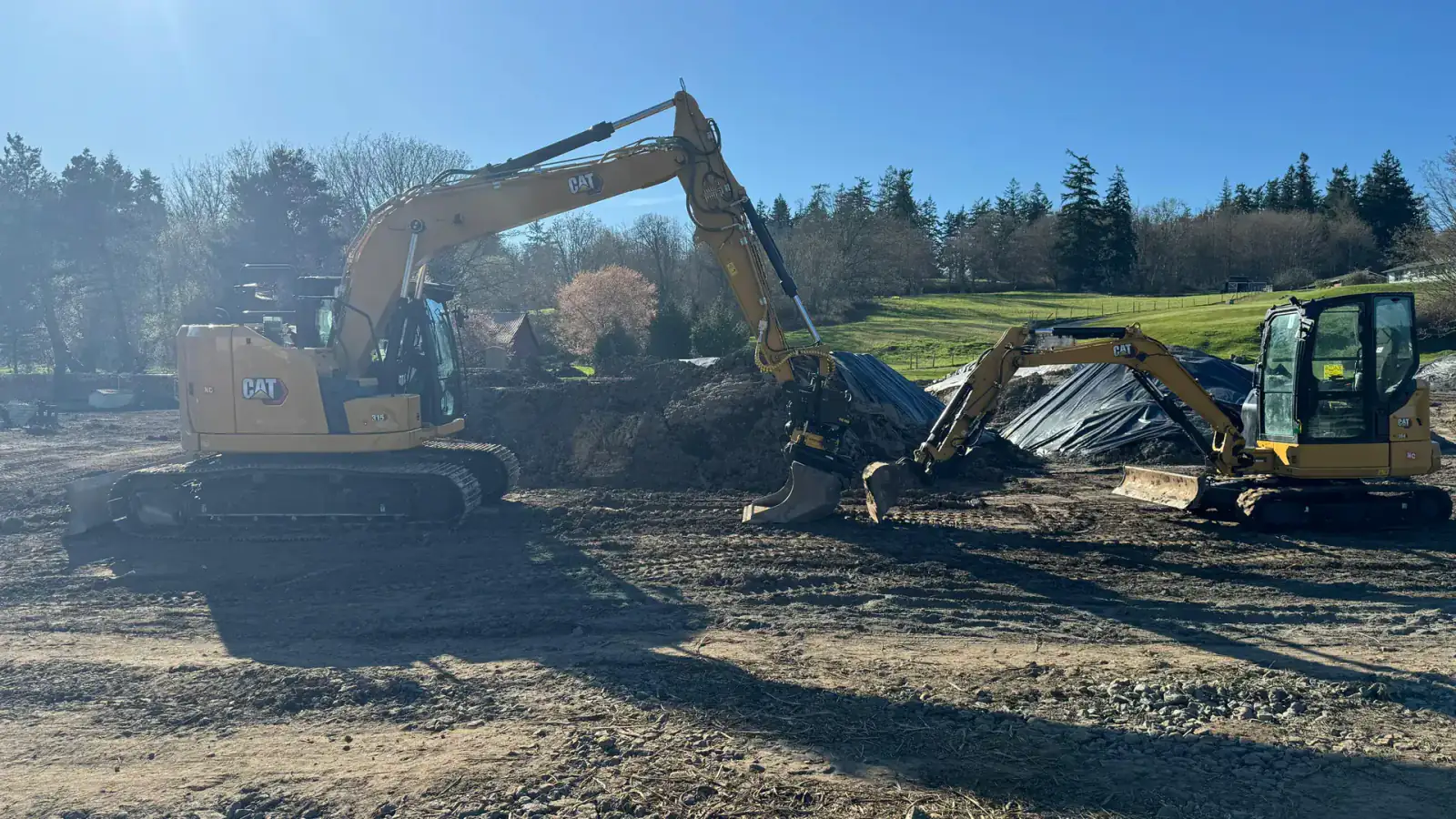 Excavators clearing a wooded property on Whidbey Island
