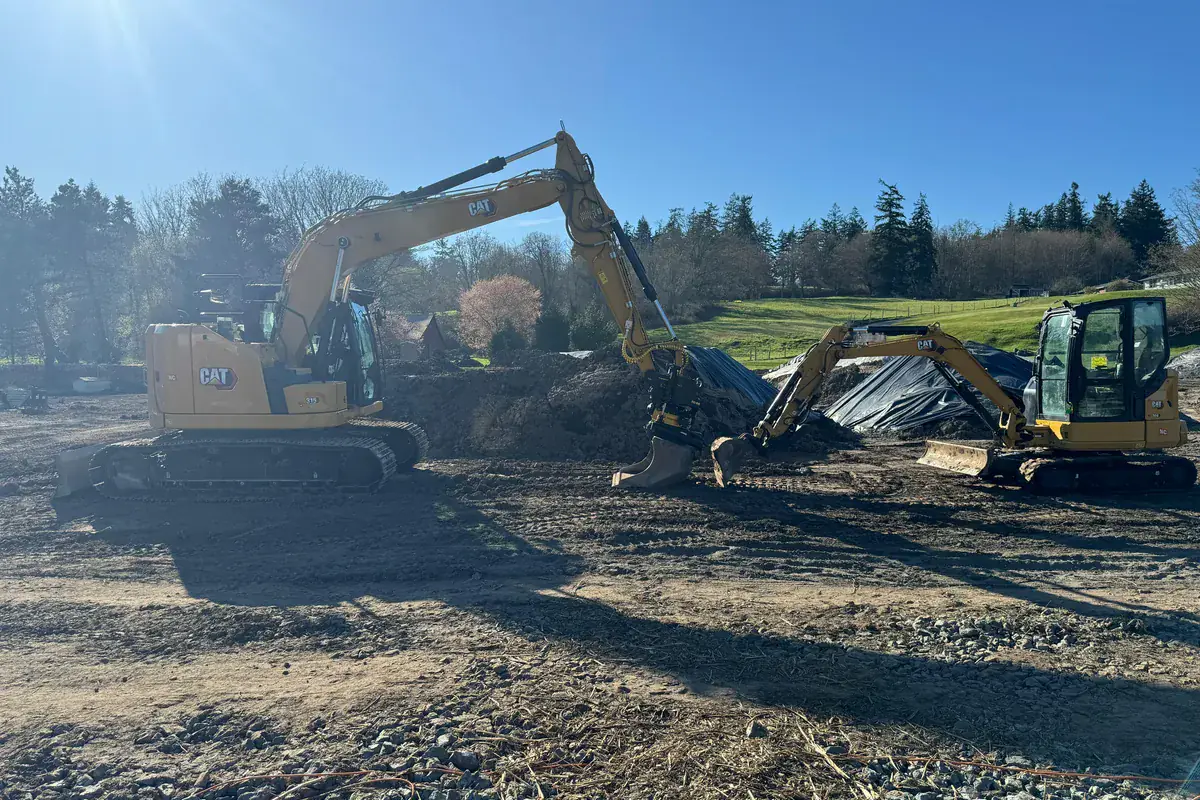 Land clearing on a wooded Whidbey Island lot