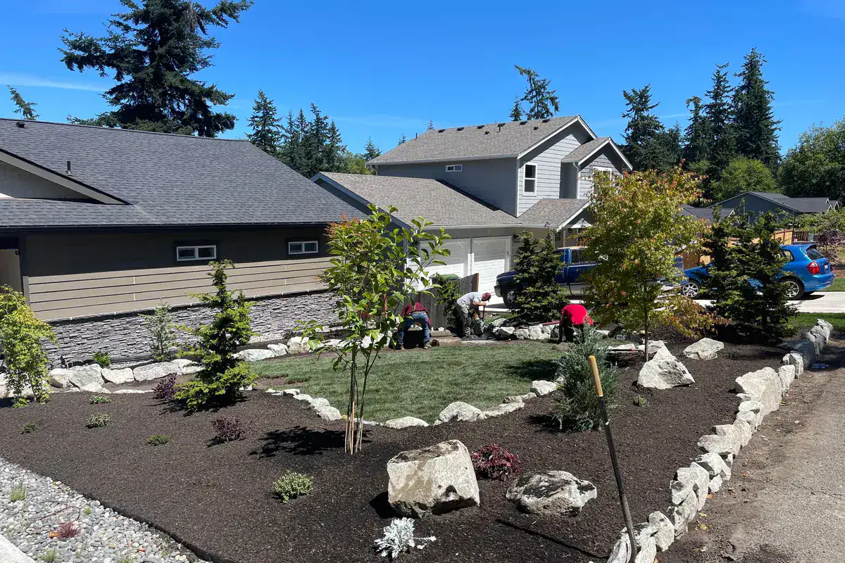 A finished landscape with rock borders and new planting