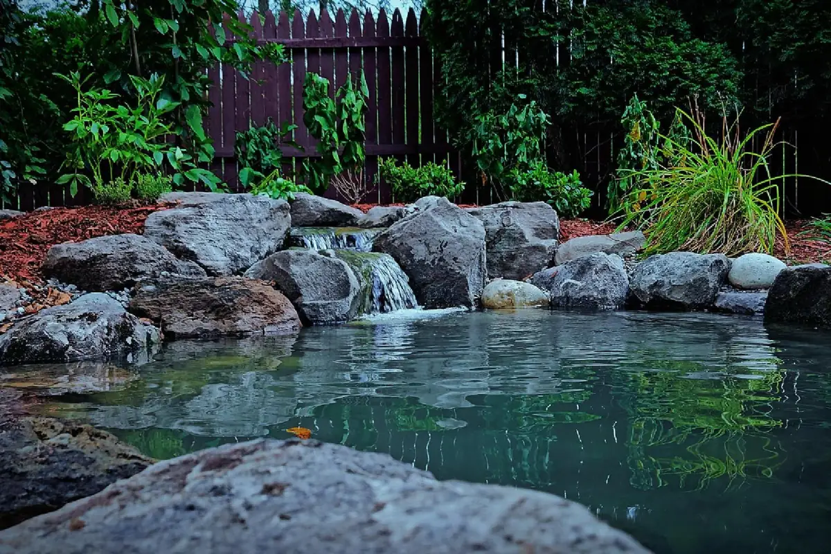 A finished pond with stone edging and planting