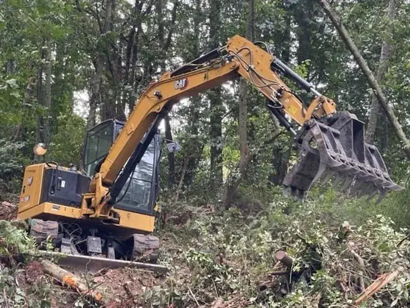 Land Clearing in Langley, WA